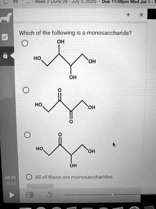 Solved:wweek 2 (June 29 July 5, Zuzu) Due 11459Pm Wed Jul 1 Which Of The  Following Is A Monosaccharide? Oh Ho_ Oh Oh Ho_ Oh Ho_ �Oh Oh 04.45 1041  All Of These Are Monosaccharides Solved:wweek 2 (June 29 July 5, Zuzu) Due 11459Pm Wed Jul 1 Which Of The  Following Is A Monosaccharide? Oh Ho_ Oh Oh Ho_ Oh Ho_ �Oh Oh 04.45 1041  All Of These Are Monosaccharides