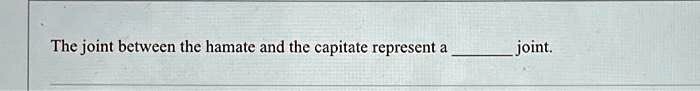The joint between the hamate and the capitate represent a  joint.