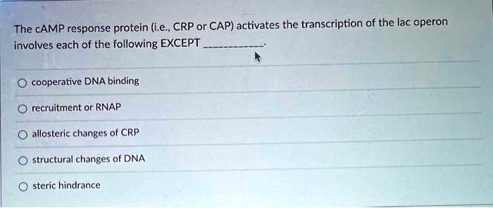 The cAMP response protein (i.e., CRP or CAP) activates the transcription of the lac operon
involves each of the following EXCEPT .

cooperative DNA binding
recruitment or RNAP
allosteric changes of CRP
structural changes of DNA
steric hindrance