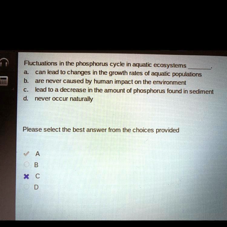 Future Challenges in Phosphorus Management