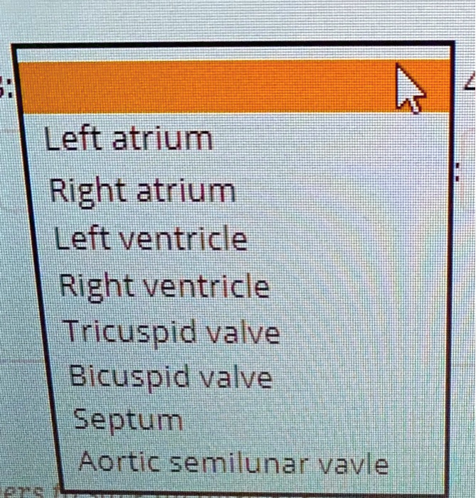 Left atrium
Right atrium
Left ventricle
Right ventricle
Tricuspid valve
Bicuspid valve
Septum
Aortic semilunar vavle