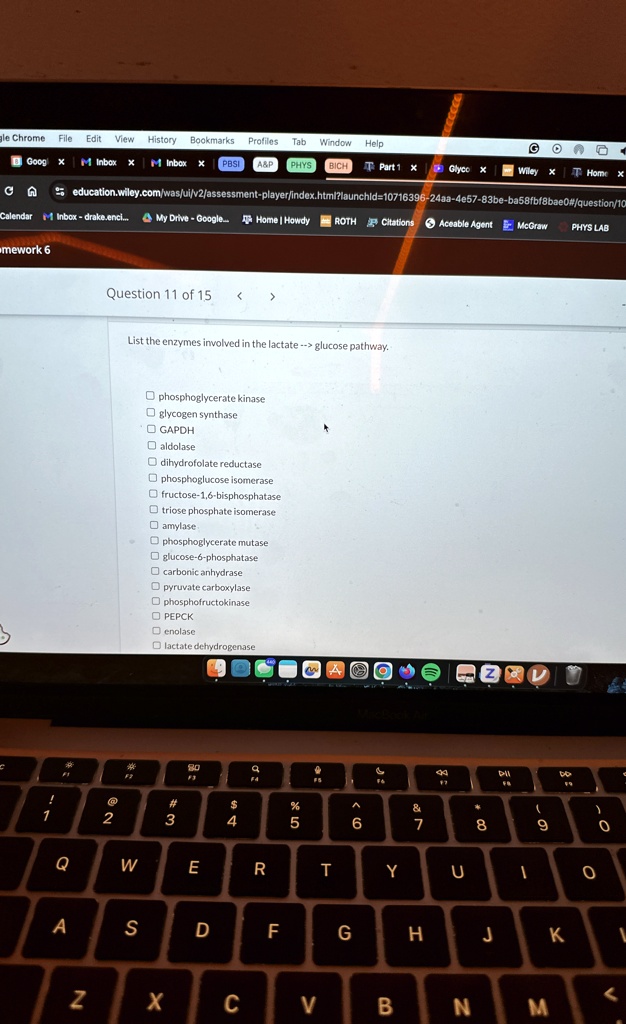 Question 11 of 15
List the enzymes involved in the lactate –> glucose pathway.
phosphoglycerate kinase
glycogen synthase
GAPDH
aldolase
dihdrofolate reductase
phosphoglucose isomerase
fructose-1,6-bisphosphatase
triose phosphate isomerase
amylase
phosphoglycerate mutase
glucose-6-phosphatase
carbonic anhydrase
pyruvate carboxylase
phosphofructokinase
PEPCK
enolase
lactate dehydrogenase