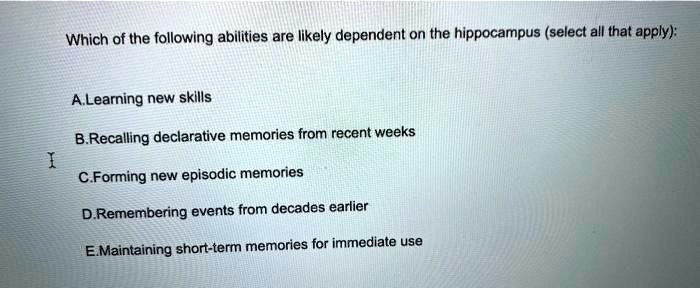 Which of the following abilities are likely dependent on the hippocampus (select all that apply):

A.Learning new skills

B.Recalling declarative memories from recent weeks

C.Forming new episodic memories

D.Remembering events from decades earlier

E.Maintaining short-term memories for immediate use