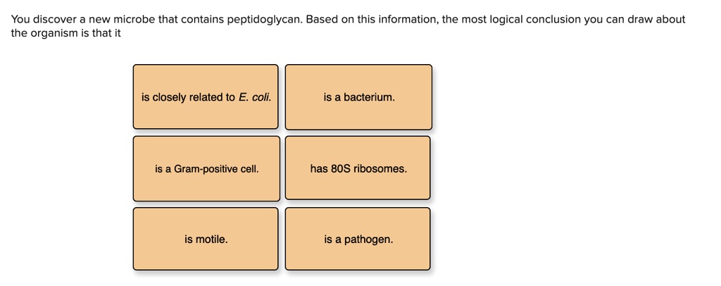You discover a new microbe that contains peptidoglycan. Based on this information, the most logical conclusion you can draw about the organism is that it
is closely related to E. coli.
is a bacterium.
is a Gram-positive cell.
has 80S ribosomes.
is motile.
is a pathogen.