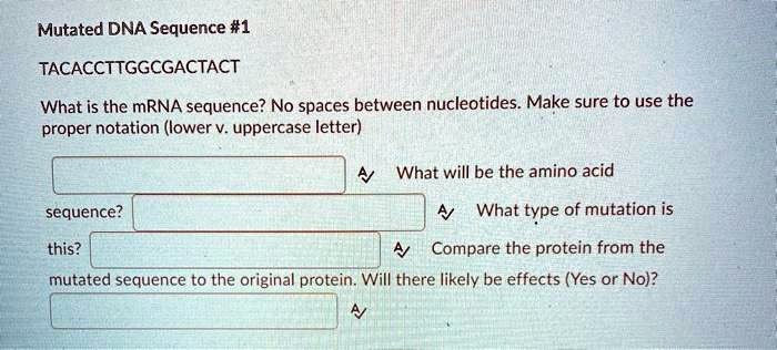 SOLVED: Mutated DNA Sequence #1 TACACCTTGGCGACTACT What is the mRNA