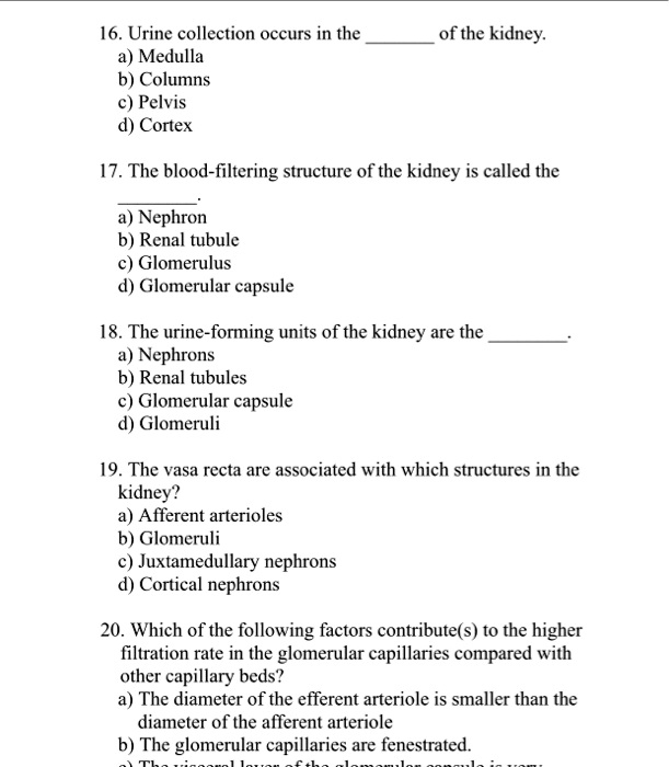 SOLVED 16. Urine collection occurs in the Medulla, Columns, Pelvis