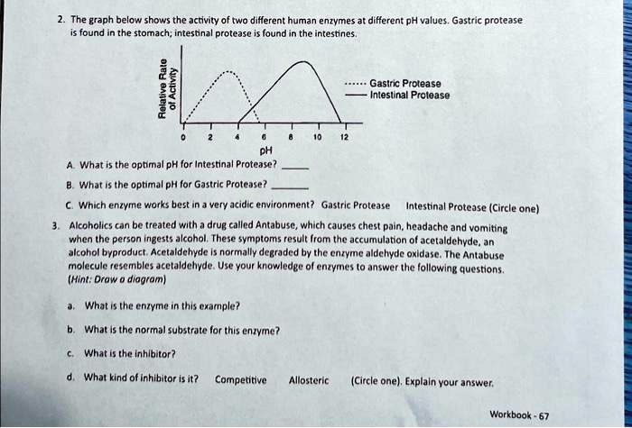 SOLVED: 2. The graph below shows the activity of two different human