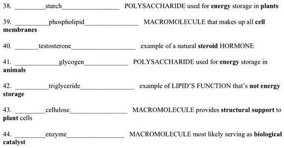 SOLVED: starch POL YSACCHARIDE used for energy storage in plants ...