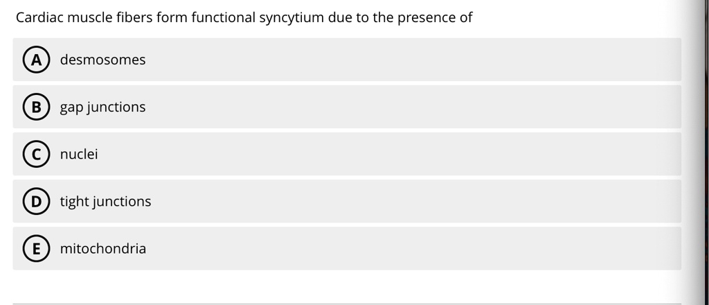 cardiac muscle fibers form functional syncytium due to the presence of a desmosomes b gap junctions c nuclei d tight junctions e mitochondria 81519