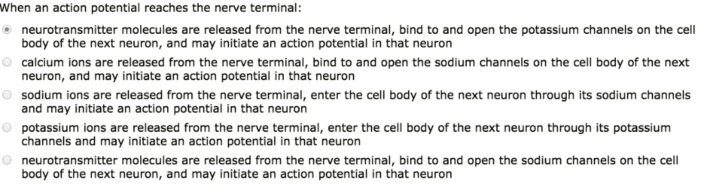 SOLVED: When an action potential reaches the nerve terminal ...