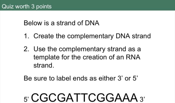 SOLVED: Quiz worth 3 points Below is a strand of DNA 1 Create the ...