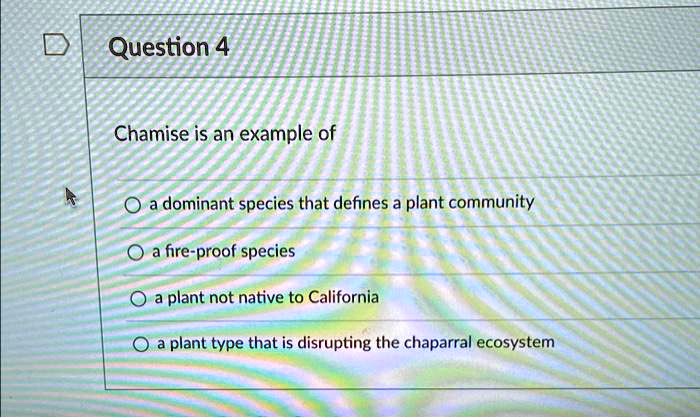 Question 4
Chamise is an example of
a dominant species that defines a plant community
a fire-proof species
a plant not native to California
a plant type that is disrupting the chaparral ecosystem