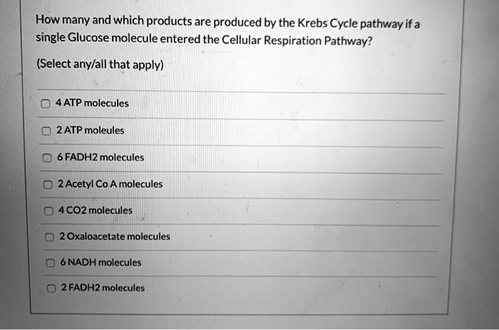 How many and which products are produced by the Krebs Cycle pathway if a single Glucose molecule entered the Cellular Respiration Pathway?

(Select any/all that apply)

4 ATP molecules
2 ATP molecules
6 FADH2 molecules
2 Acetyl Co A molecules
4 CO2 molecules
2 Oxaloacetate molecules
6 NADH molecules
2 FADH2 molecules