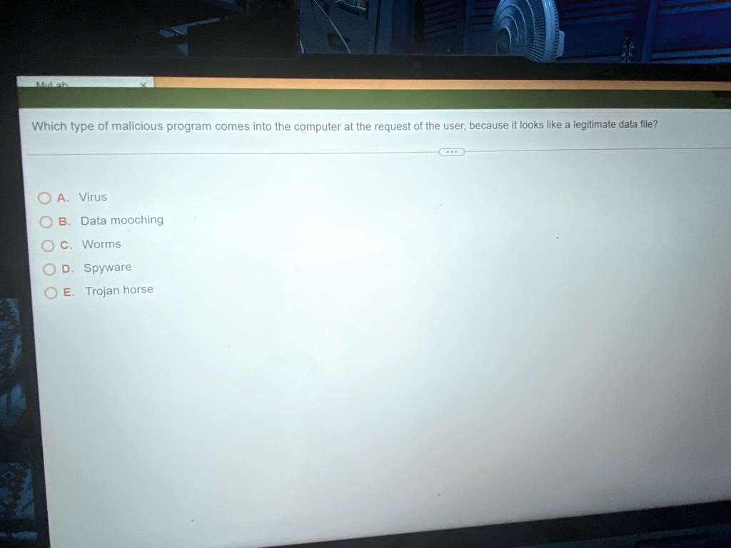 which type of malicious program comes into the computer at the request of the user because it looks like a legitimate data file a virus b data mooching c worms d spyware e trojan horse 00706