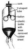 Study the given experimental set up. What happens when the rubber sheet ...