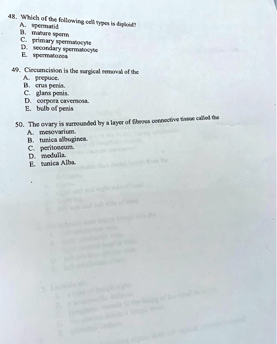 48. Which of the following cell types is diploid?
A. spermatid
B. mature sperm
C. primary spermatocyte
D. secondary spermatocyte
E. spermatozoa
49. Circumcision is the surgical removal of the
A. prepuce.
B. crus penis.
C. glans penis.
D. corpora cavernosa.
E. bulb of penis
50. The ovary is surrounded by a layer of fibrous connective tissue called the
A. mesovarium.
B. tunica albuginea.
C. peritoneum.
D. medulla.
E. tunica Alba.