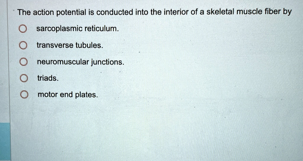 The action potential is conducted into the interior of a skeletal ...