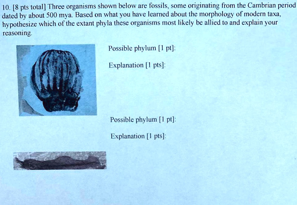 SOLVED 10. [8 pts total] Three organisms shown below are fossils; some