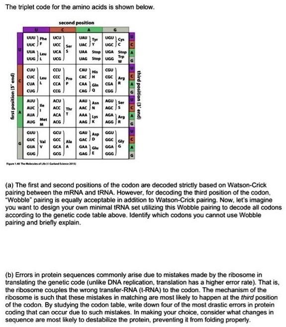 SOLVED (a) The first and second positions of the codon are decoded