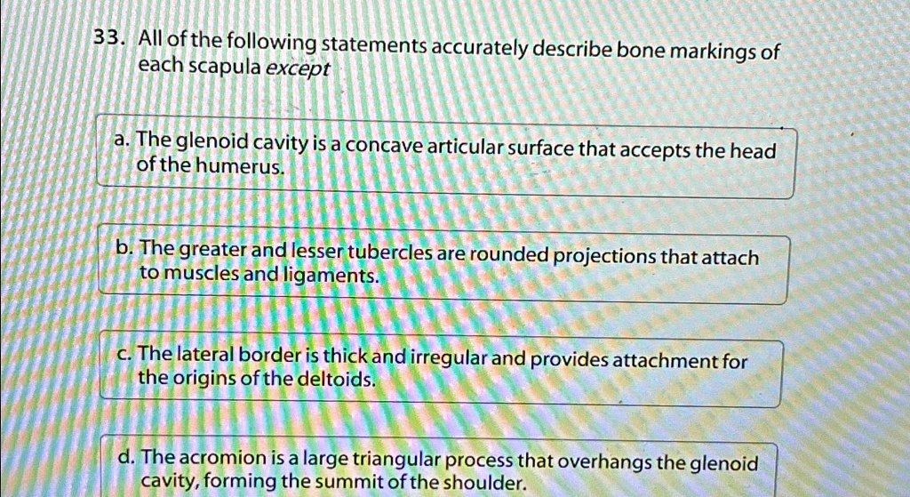 all of the following statements accurately describe bone markings of