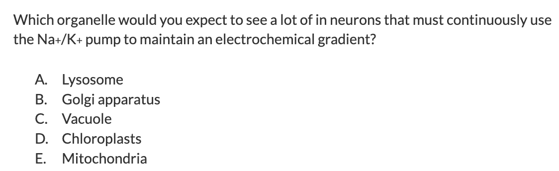 Which organelle would you expect to see a lot of in neurons that must continuously use the Na+/K+ pump to maintain an electrochemical gradient?

A. Lysosome
B. Golgi apparatus
C. Vacuole
D. Chloroplasts
E. Mitochondria