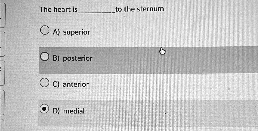 SOLVED: The heart is to the sternum A) superior B) posterior C ...