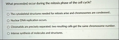 what processes occur during the mitosis phase of the cell cycle the cytoskeletal structures needed for mitosis arise and chromosomes are condensed nuclear dna replication occurs chromatids a 86316
