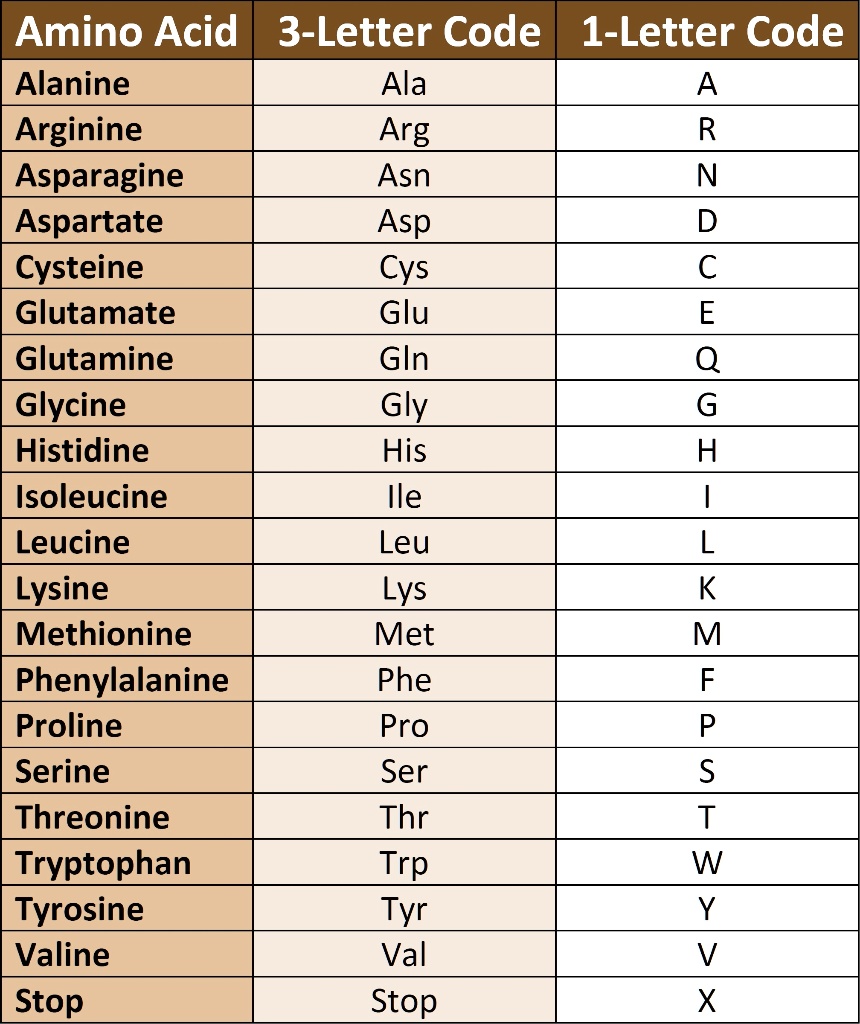 9 Asparagine 3 Letter Code AteenAuriana