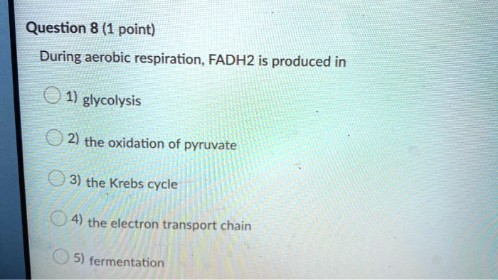 During aerobic respiration, FADH2 is produced in
1) glycolysis
2) the oxidation of pyruvate
3) the Krebs cycle
4) the electron transport chain
5) fermentation