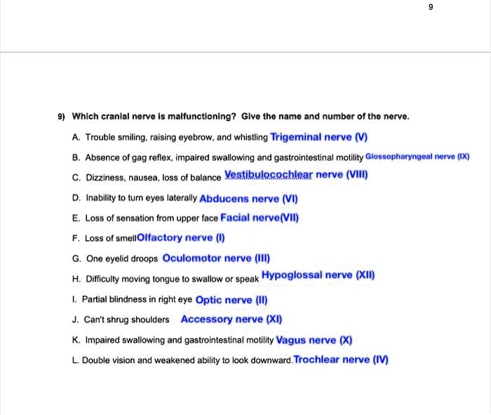 SOLVED:Whlch cranial nerve Is malfunctioning? Give the name and number ...