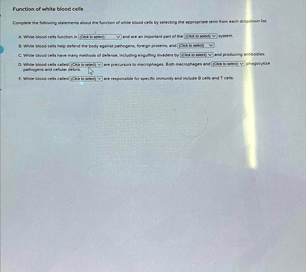 Which Of The Following Statements Is True About Memory Cells function of white blood cells complete the following statements about