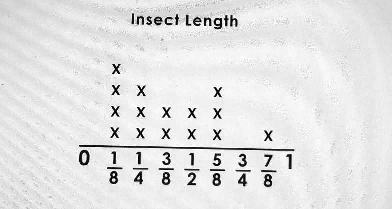 Insect Length X XX X X X X X X X X X X X 0 1/8 1/4 3/8 1/2 5/8 3/4 7/8 1
