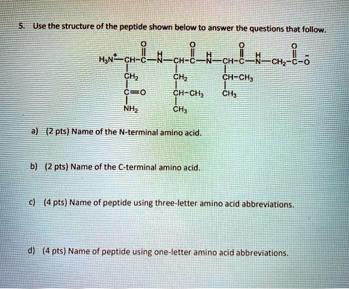 5. Use the structure of the peptide shown below to answer the questions that follow.
a) (2 pts) Name of the N-terminal amino acid.
b) (2 pts) Name of the C-terminal amino acid.
c) (4 pts) Name of peptide using three-letter amino acid abbreviations.
d) (4 pts) Name of peptide using one-letter amino acid abbreviations.