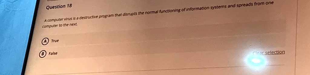 question 18 a computer virus is a destructive program that disrupts the normal functioning of information systems and spreads from one computer to the next a true b false 24416