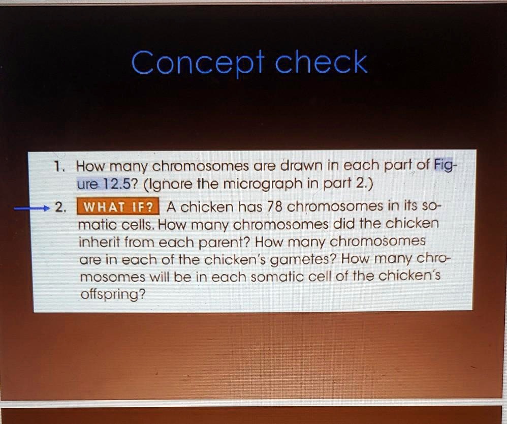 SOLVED Concept check 1 How many chromosomes are drawn in each part of