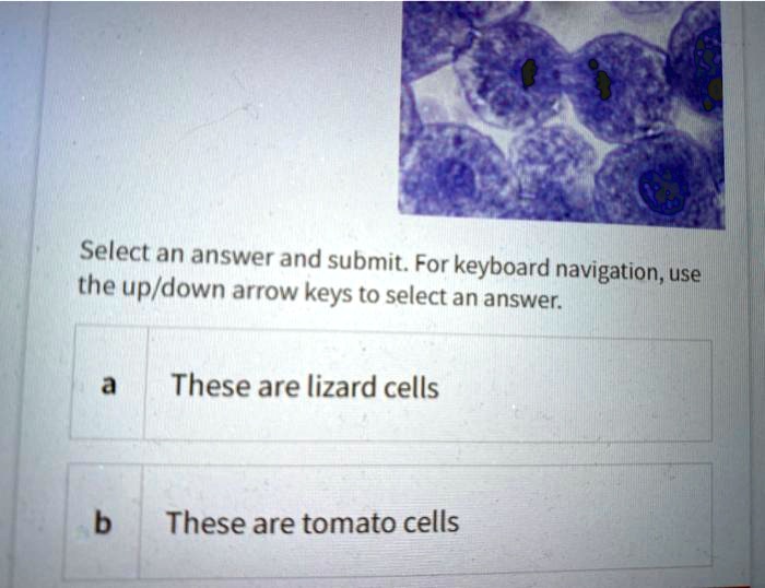 Select an answer and submit. For keyboard navigation, use the up/down arrow keys to select an answer.
a
These are lizard cells
b
These are tomato cells