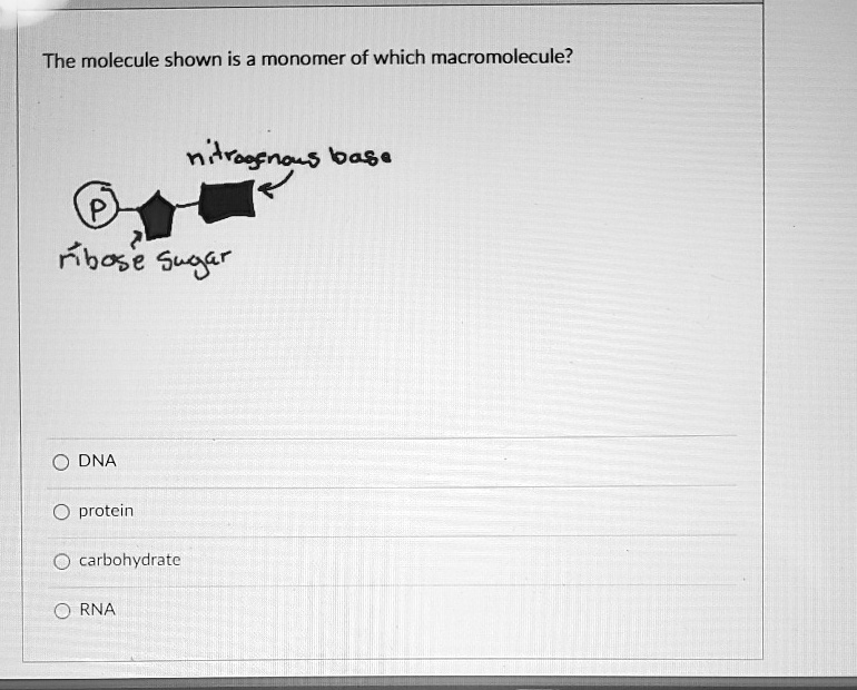 The molecule shown is a monomer of which...