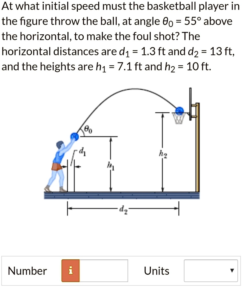 SOLVED At what initial speed must the basketball player in the figure