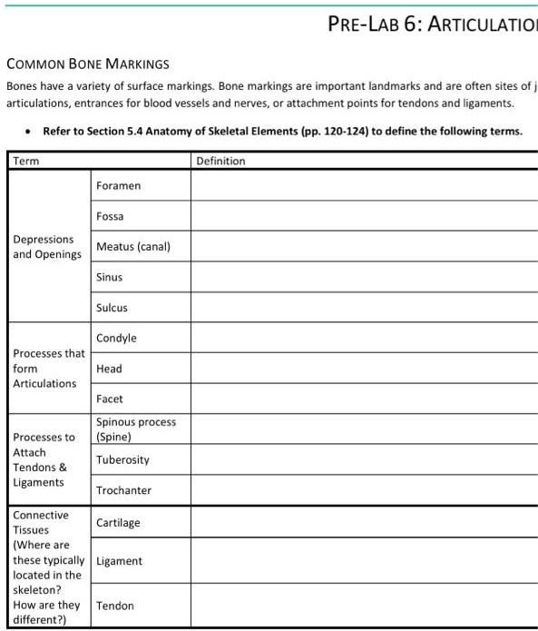 SOLVED PRELAB 6 ARTICULATION COMMON BONE MARKINGS Bones have a