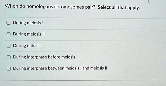 SOLVED: When do homologous chromosomes pair? Select all that apply