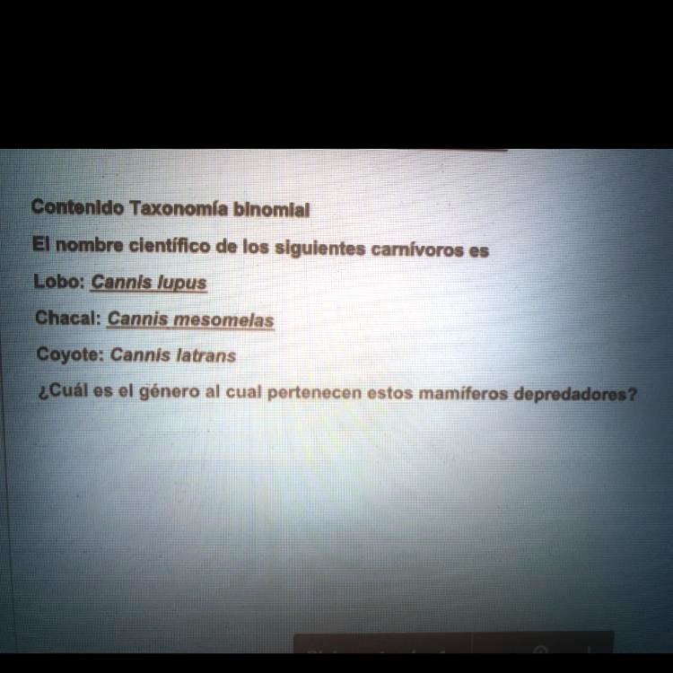 SOLVED: Taxonomia Bibomial ¿Cual es el genero al cual pertenecen estos