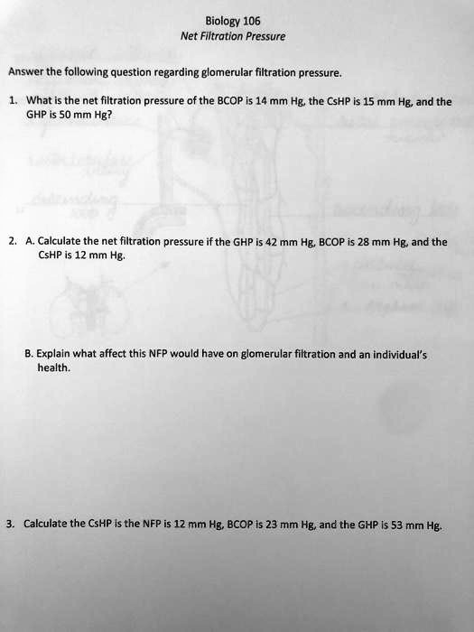 SOLVED Biology 106 Net Filtration Pressure Answer the following
