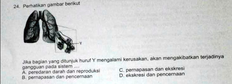 SOLVED: jika bagianyg d tunjukkan hurup Y mengalami kerusakan , akan