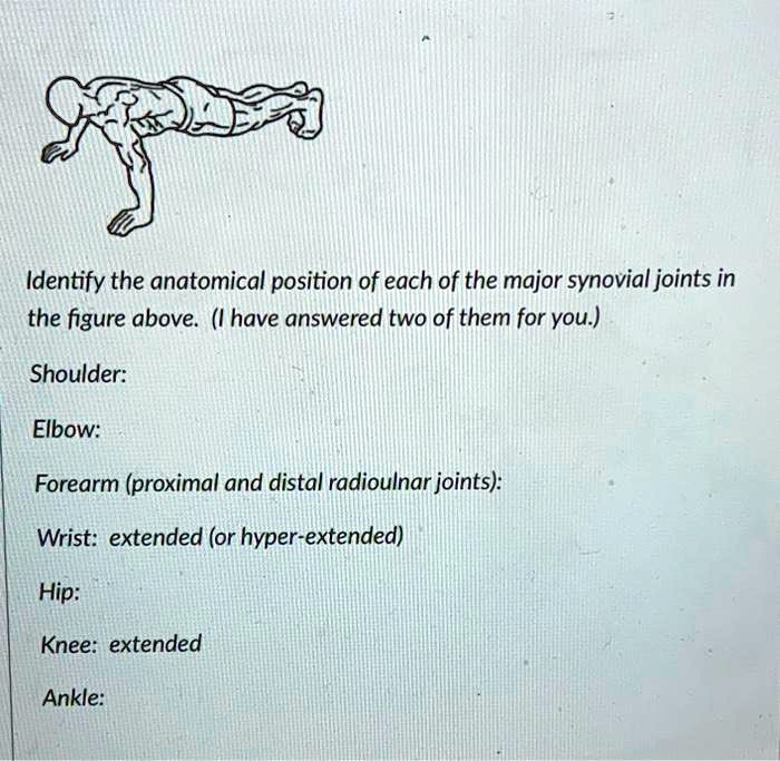 Identify the anatomical position of each of the major synovial joints in the figure above. (I have answered two of them for you.)

Shoulder:

Elbow:

Forearm (proximal and distal radioulnar joints):

Wrist: extended (or hyper-extended)

Hip:

Knee: extended

Ankle:
