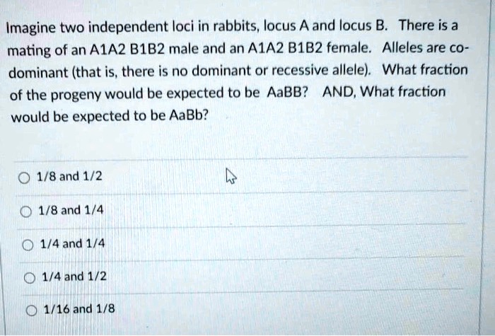 Solved Imagine Two Independent Loci In Rabbits Locus A And Locus B There Is A Mating Of An 6951