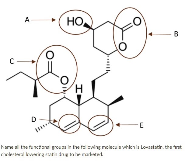 SOLVED OHNName all the functional groups in the following molecule