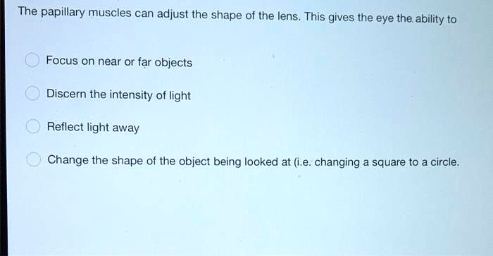 The papillary muscles can adjust the shape of the lens. This gives the eye the ability to

Focus on near or far objects

Discern the intensity of light

Reflect light away

Change the shape of the object being looked at (i.e. changing a square to a circle.