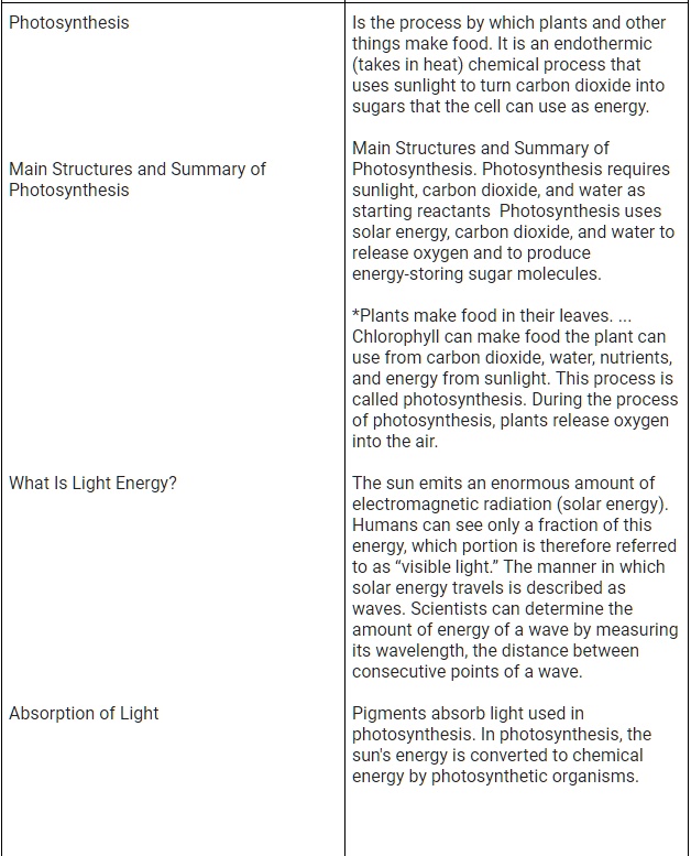 SOLVED Photosynthesis Is the process by which plants and other things