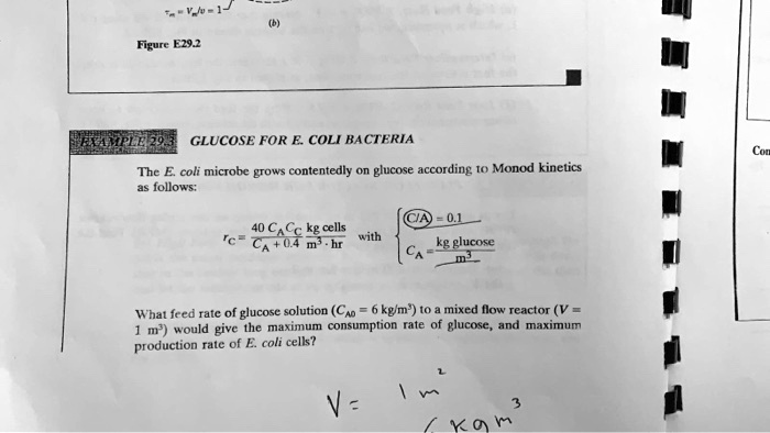 figure e292 glucose forecoli bacteria cor the e coli microbe grows ...