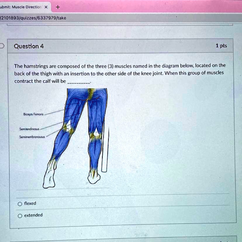 Please help me figure this out. Submit: Muscle Direction (2101893 ...